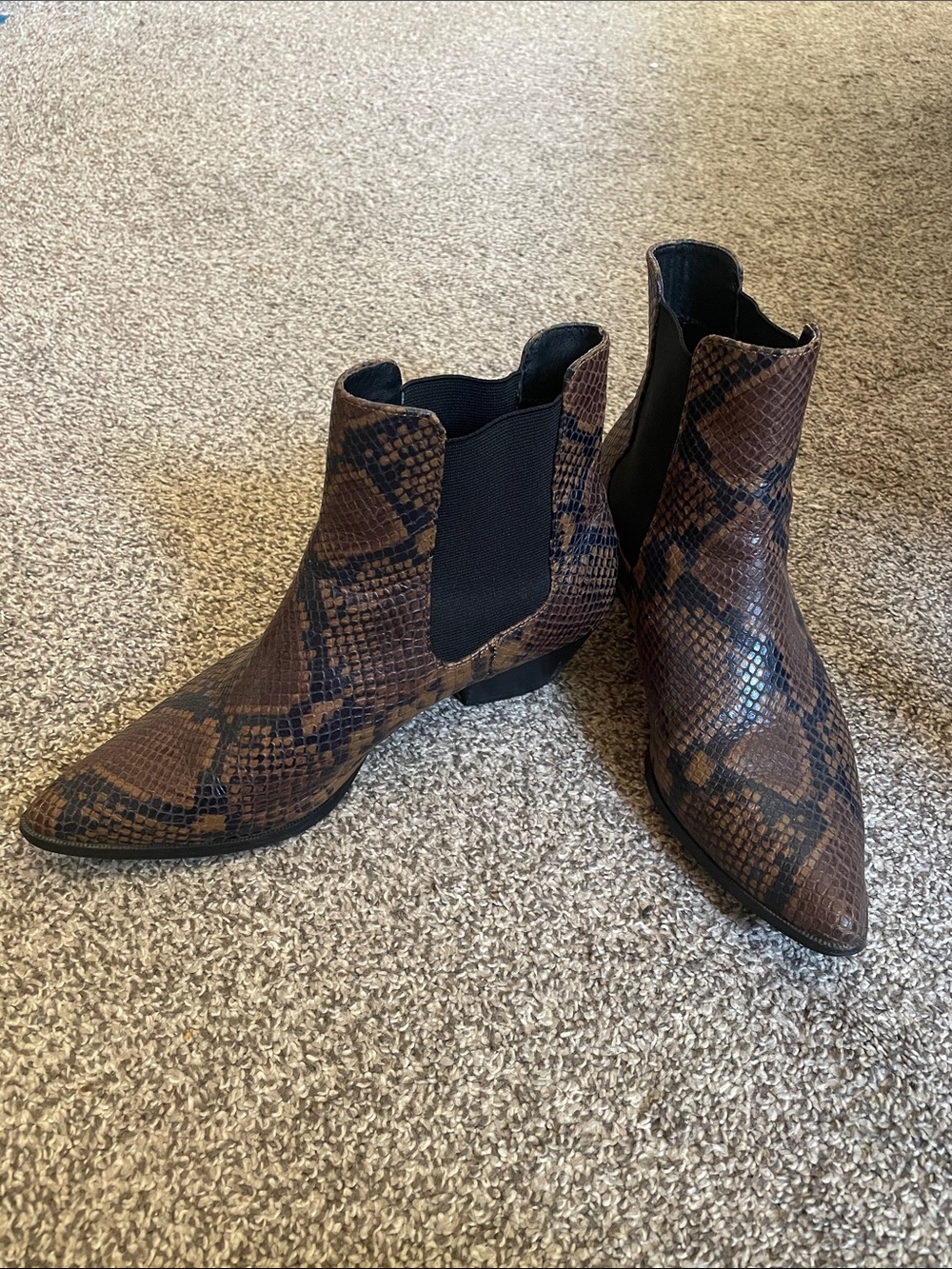 Steve Madden Black Chelsea Ankle Boot with Brown Snake Accent